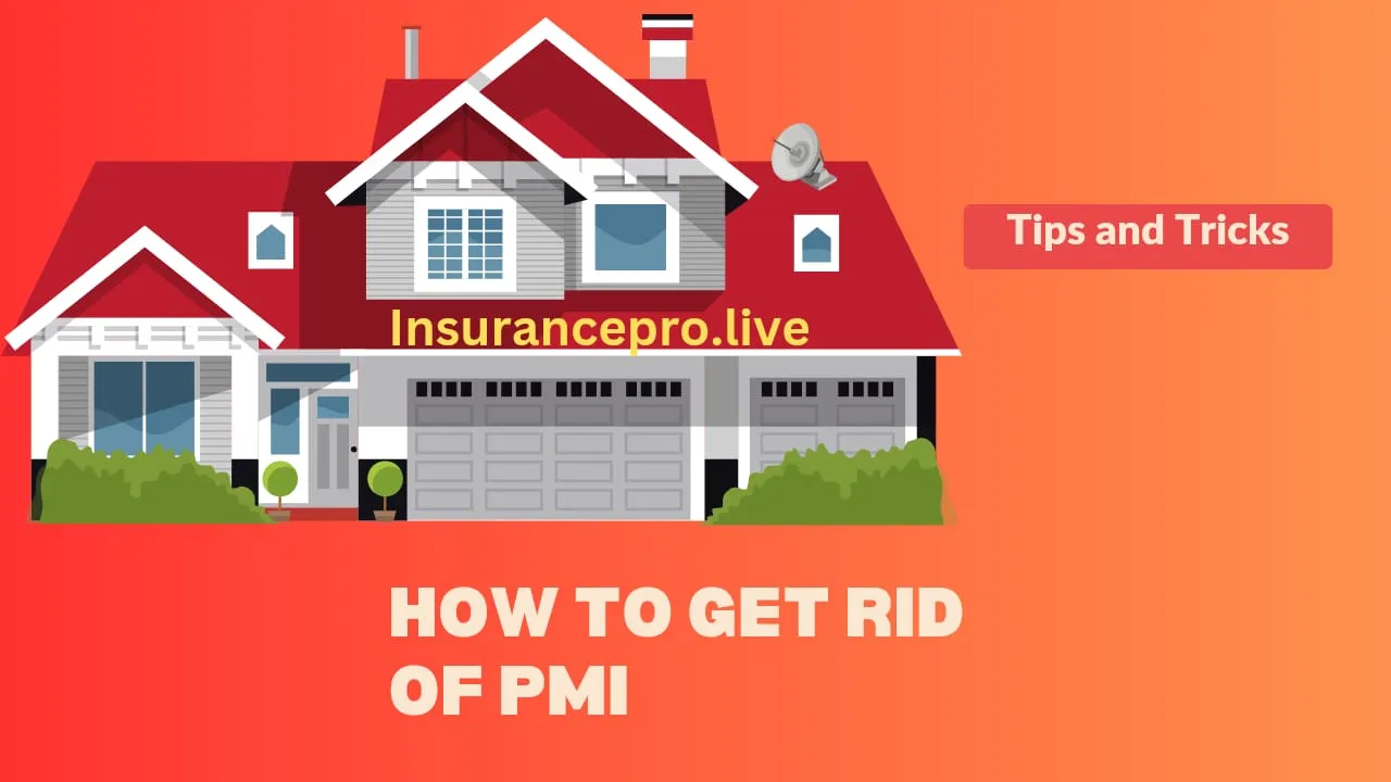 How-To-Get-Rid-Of-PMI